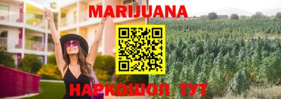 ECSTASY Донской